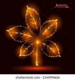 Vector illustration of autumn leaf. Bright cool design on dark red background. Leaf with golden glow. Multicolored gradient with yellow, orange and red.
