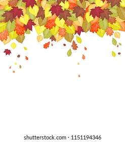 Vector illustration of autumn leaf in colors. Background of natural leaves