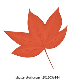 vector illustration of an autumn leaf isolated on a white background