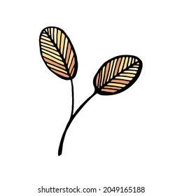 Vector illustration autumn leaf isolated on white background. Flat design.  Autumn leaf icon. Hand drawn.