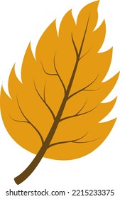 Vector illustration of an autumn leaf isolated on a white background. The icon of the autumn leaf. Design with leaves for spring and autumn banner, prints, wallpaper, fabric and wallpaper. 