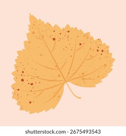 Vector illustration of autumn leaf in yellow and red colours on a light beige background.