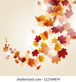 Vector Illustration of Autumn Leaves