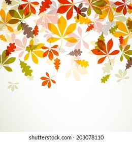 Vector Illustration of Autumn Leaves