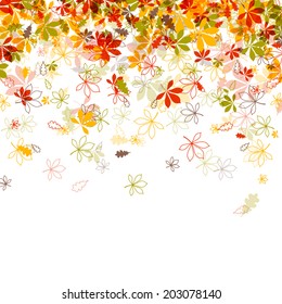 Vector Illustration of Autumn Leaves