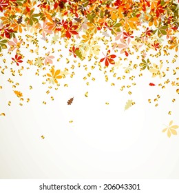 Vector Illustration of Autumn Leaves