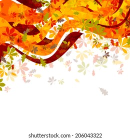 Vector Illustration of Autumn Leaves