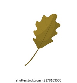 Vector illustration of autumn leaves