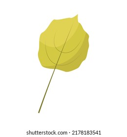 Vector illustration of autumn leaves