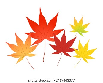 Ilustración vectorial de hojas de otoño