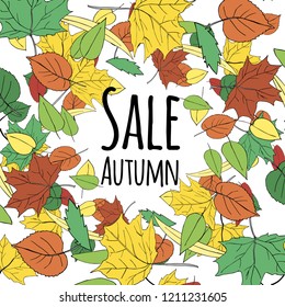 Vector illustration autumn leaves background sale