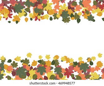 vector illustration autumn leaves background with yellow green red brown orange on a white background