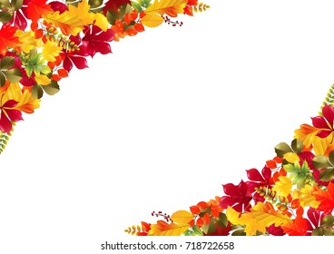 Vector illustration of Autumn leaves background
