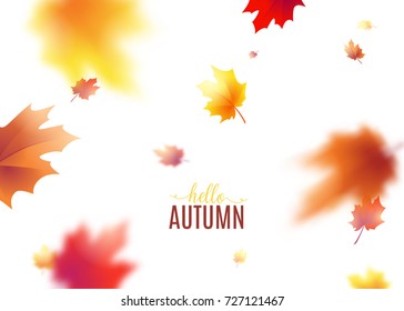 Vector illustration of autumn leaves background with blur effect. Fall defocused yellow red brown leafage