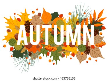 Vector illustration with autumn leaves and berries isolated on white background. Text autumn