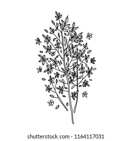 Vector illustration  with autumn leaves. Black ink leaves on white background