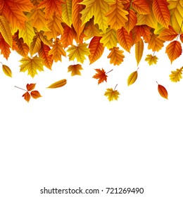 Vector illustration of Autumn leaves falling isolated on white background