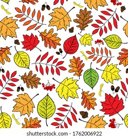 Vector illustration of autumn leaves and fruits. Seamless pattern of maple, Rowan, birch and oak leaves and their seeds.