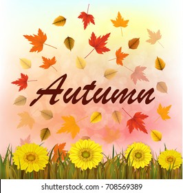 Vector illustration of an autumn leaves and grass with sunflower and fall typography on a bokeh background. Ready elements with autumn background for your banner, infographics poster advertisement. 