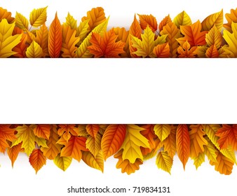 Vector illustration of Autumn leaves isolated on white background