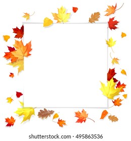 Vector illustration with autumn leaves of maple, birch, oak. Photo realistic leaves. Greeting cards with place for congratulation for any kind of celebration.