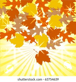 vector illustration of the autumn leaves on sunny background. eps10