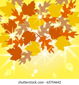 vector illustration of the autumn leaves on sunny background. eps10