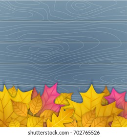 vector illustration of autumn leaves on wooden blue background. top view