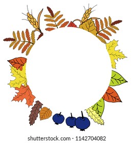 Vector illustration of autumn leaves round frame banner berry