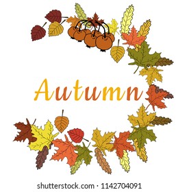 Vector illustration of autumn leaves semicircle berry