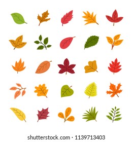 Vector illustration of autumn leaves set isolated on white background for design.