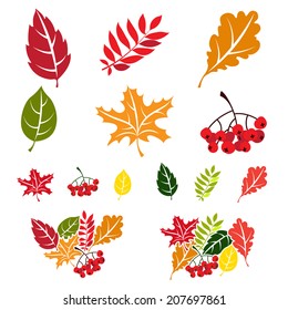 Vector Illustration Autumn leaves set. Flat style
