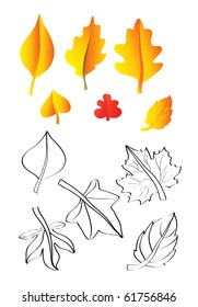 vector illustration, autumn leaves, white background.