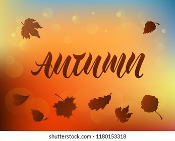 Vector illustration of autumn for logotype, flyer, banner, invitation or greeting card, postcard, typography poster, signage. Handwritten modern lettering. Inspirational quote on textured background.