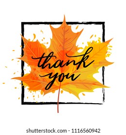 Vector illustration, Autumn maple leaf with Thank you custom lettering. Thanksgiving day card design.