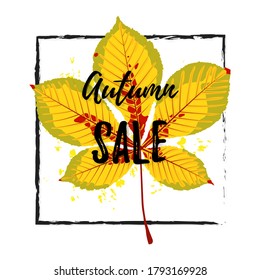 Vector illustration, Autumn maple leaf . Text sale Autumn. Templates for placards, banners, flyers, presentations, reports.