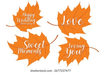 Vetor ilustração outono folhas de bordo com design de texto romântico e aniversário.