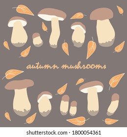 Vector illustration of autumn mushrooms and yellow leaves on a colored background.