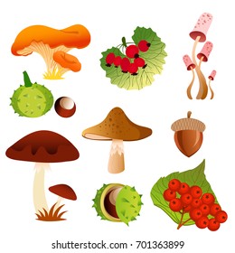 Vector illustration of autumn nature icons of tree leaf fall and seasonal mushrooms, berries and oak acorn nuts in bright colors and flat design.