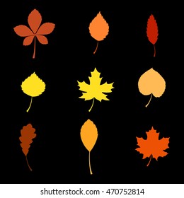 vector illustration of autumn on dark background design in flat style