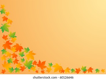 Vector illustration an autumn orange background with leaves.