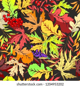 Vector illustration. Autumn pattern. Pattern with autumn leaves.