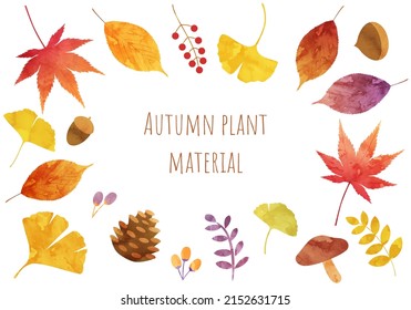 Vector illustration of autumn plant leaves