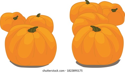 vector illustration autumn pumpkin holiday