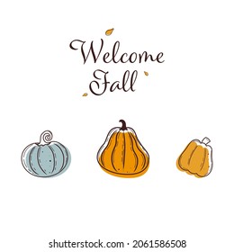 Vector illustration of autumn pumpkins on a white isolated background in cartoon style