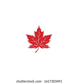 Vector illustration of autumn red maple leaves with white background