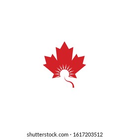 Vector illustration of autumn red maple leaves with white background