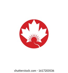 Vector illustration of autumn red maple leaves with white background