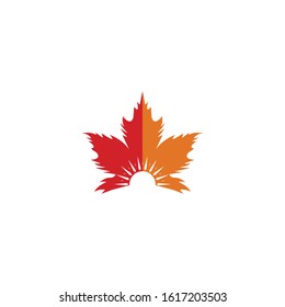 Vector illustration of autumn red and orange maple leaves with white background