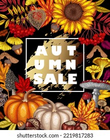 Vector illustration of autumn sale banner template. Maple leaf, chestnut, rowan, fallen leaves, berries, acorns, physalis, maple seeds, sunflower, pumpkin, ginkgo